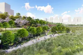 未来巴南也可“看海”，巴滨路李家沱段即将开建图片