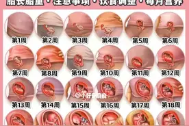 怀孕40周胎儿每周变化情况，孕妈妈了解一下吧图片