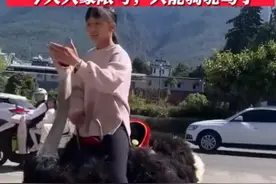 云南小女孩从容淡定骑鸵鸟上学，大象是限号了？！图片