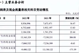 IPO关键时刻，湖北银行 “变数”丛生图片
