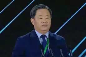 宁高宁，凭什么？图片