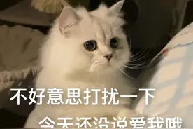 表情包：你们口中的美女 是说我？图片