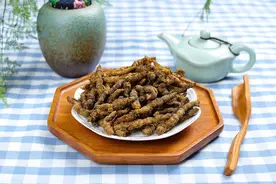 中药功效大全:清热药（清热燥湿药）图片