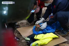 “3·21”东航飞行事故丨消防人员讲述第二个黑匣子发现过程图片