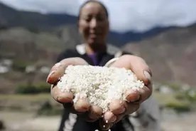 全国哪产的盐最好吃？认清这4个产地，“生态海盐，味你而来”图片