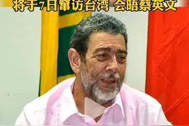 跳蚤也要来挑衅！圣文森特一定是被打了药图片