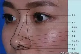 三甲医生亲笔整理分享：鼻部美学标准和解刨结构是怎样的？图片