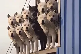 这些公务员宿舍，谁看了不心动图片