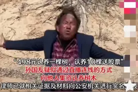 孙国友被爆“非法集资”，498的“认养树”，扯掉公益的遮羞布图片