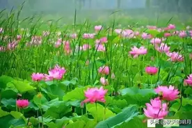 透过微信，看一个人的本质，比较准确图片
