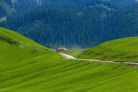 推荐国内最美的6条自驾线路，一起去看祖国的大好河山，出发吧！图片
