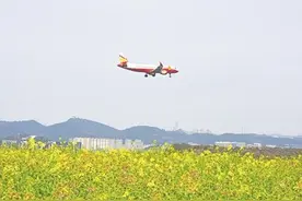 本周末 双龙下坝村五彩油菜花进入最佳观赏期图片