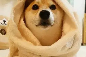 沙尘来袭！兰州也不例外！注意防护！图片