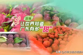 广东有多“甜”？深圳用数字告诉全世界→图片