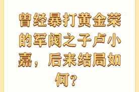 曾经暴打黄金荣的军阀之子卢小嘉，后来结局如何？图片