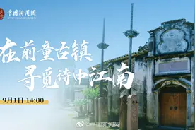 【#文明的坐标# | 青砖黛瓦、小桥流水 在前童古镇寻觅诗中江南视频封面