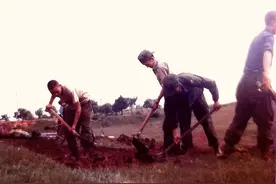 当兵挖鱼塘挖到蛇窝图片