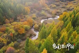 #秋日乌兰坝仿佛打翻了调色板#【#秋日乌兰坝五彩斑斓层林尽染#视频封面