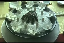 《满汉全席》里的“踏雪寻熊”，食材实在是高级！摆盘也好看视频封面
