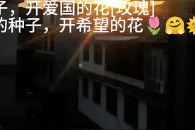 种什么样的种子，开什么样的花视频封面