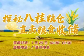 【正直播！#探秘八桂粮仓直击粮食收储#】目前视频封面