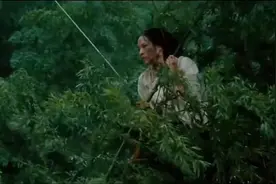 #卧虎藏龙中的武打戏有多经典#李安电影《卧虎藏龙》中，李慕白视频封面