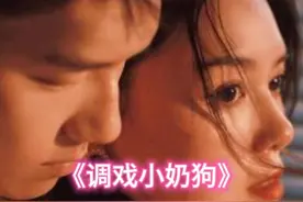 《调戏小奶狗》视频封面