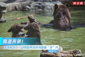 【直播：#消暑冰块是如何制作的#？走进制冰厂