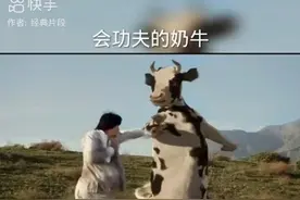 人牛大战视频封面