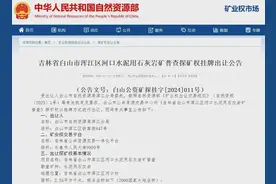 矿权推介｜矿业权招拍挂出让公告信息（第七十三期）图片