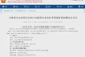 矿权推介｜矿业权招拍挂出让公告信息（第七十三期）图片