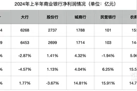 上半年商业银行净利润同比增长0.4% 净息差持平于一季度图片