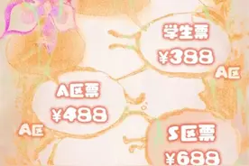 一个VVIP卡座票售价10888元，音乐节被指成为“演出刺客”图片
