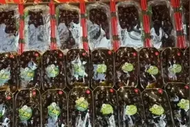 双双被查！昆明一企业法定代表人、股东涉嫌严重违法图片
