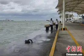 “康妮”致福建沿海掀狂风巨浪 福建沿海73条客渡运航线停航图片