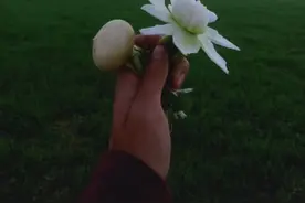 年纪轻轻，天天在家打鱼摸虾！95后教人如何种地走红图片