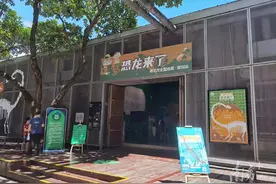 恐龙来深圳了！古生物专家为孩子讲述恐龙的故事图片