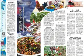 好山东|辣子鸡 奔百亿，这道枣庄“硬菜”带动富民大产业图片