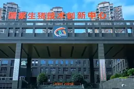 西部乡村行｜一头地方猪的种业“翻身仗”图片