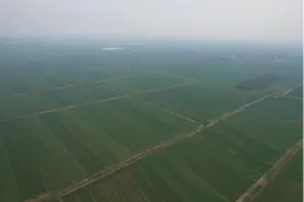 南阳市宛城区：“小田并大田”富民强村地增产图片