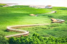 游客注意，9月西沙湿地大潮汛期间局部对外开放图片