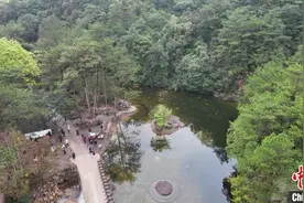 广西上思留得青山 成珍稀野生动植物天然家园图片