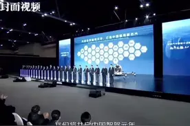 2025 开启中国智驾元年？图片