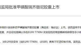 上海又一国产1类创新药获批上市，用于治疗非小细胞肺癌图片