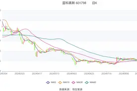 蓝科高新：2024年上半年亏损968.81万元图片