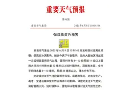 局部11级以上雷雨大风、冰雹+短时强降水！泰安发布强对流黄色预警图片