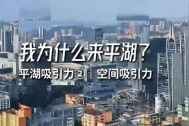 大空间聚势大项目｜平湖吸引力②图片