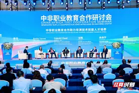 张莹：打造随企出海的“3C模式 ” 贡献职教发展的“湖铁方案”图片