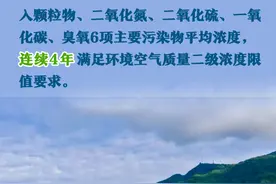 世界环境日丨美丽中国建设蹄疾步稳 一组数据见证“绿色”力量图片