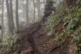 越野摩托破坏黄龙山生态 市民呼吁文明出游共护绿水青山图片